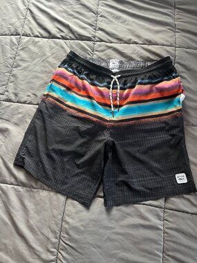Spicy Tuna men's lined swim trunks